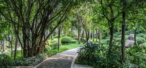 与榕友共享榕荫